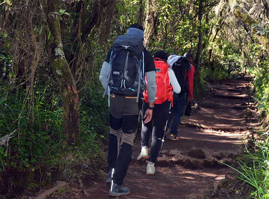 Climbers on the Marangu route, the only hut route on Kilimanjaro